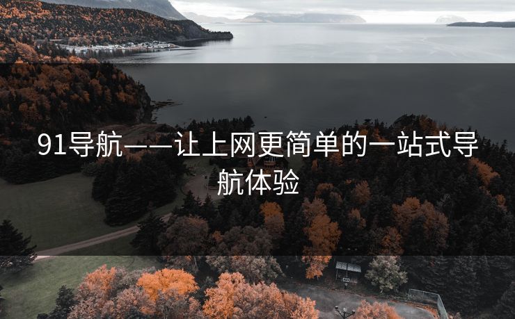 91导航——让上网更简单的一站式导航体验