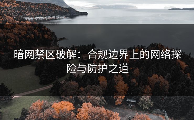暗网禁区破解：合规边界上的网络探险与防护之道